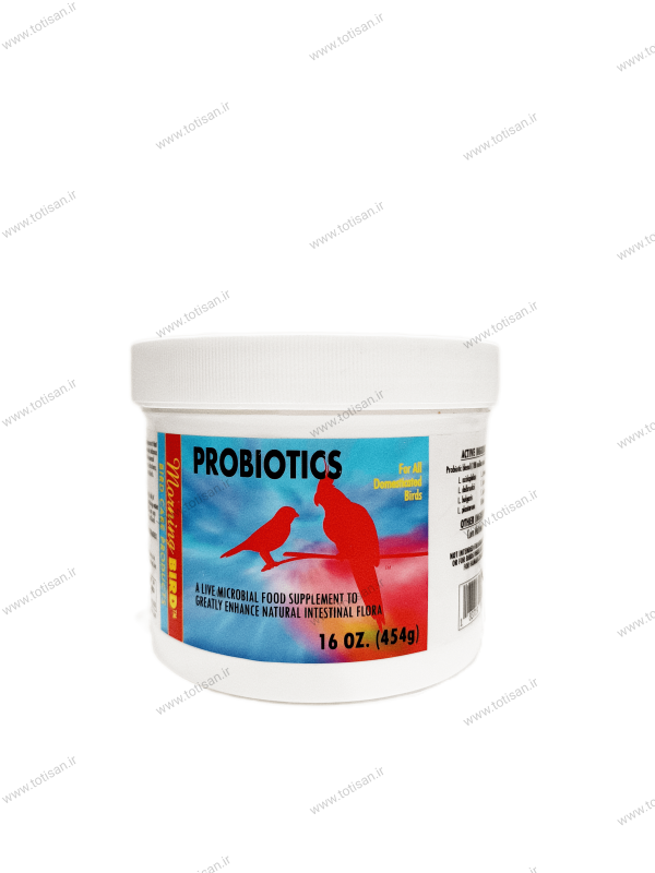 پروبیوتیک مورنینگ برد _ Morning Bird probiotics 2 پروبیوتیک مورنینگ برد